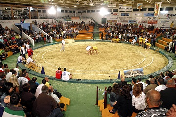 Torneo-lucha-canaria