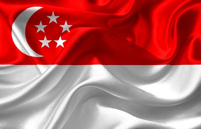 Bandera de Singapur